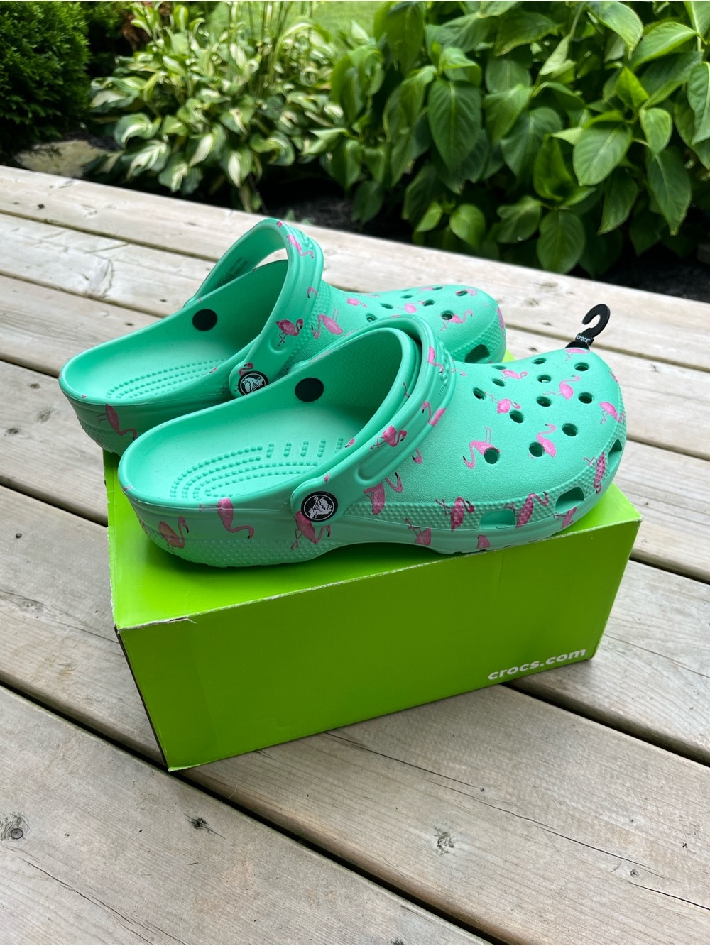 CROCS Kids Mint Green Clogs with Pink Flamingo Print